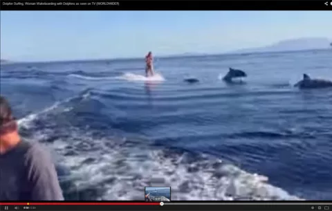 VIDEOS Experiencias fantásticas en el mar