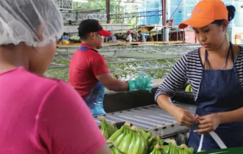 Unas 37 empresas ya  exportan sus  productos  