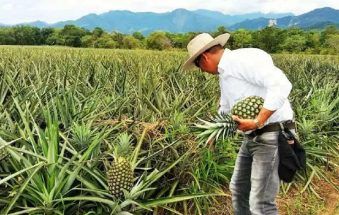 Exportaciones bajan 6.6% durante el primer bimestre del año