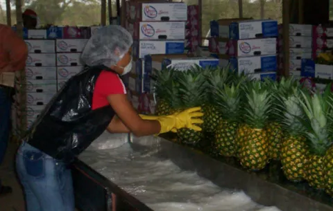 2019 será un año difícil para los exportadores
