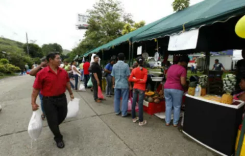 Ferias libres del IMA se realizarán mañana 1 de noviembre por fiestas patrias