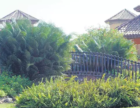 El jardín sostenible, un nuevo estilo de vida   
