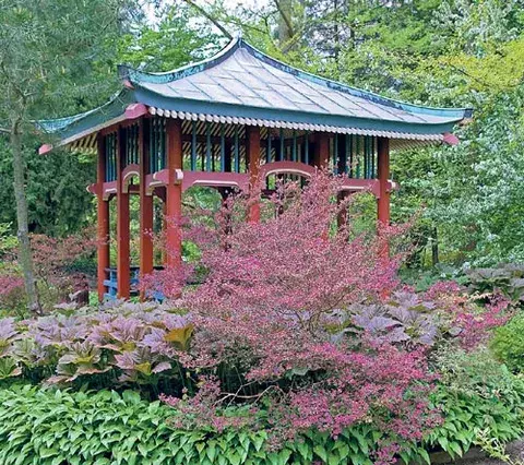 Elija el tipo de jardín que más se adapte a su estilo 