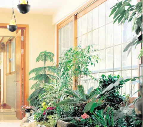 Jardines interiores,   íntimos y refrescantes 