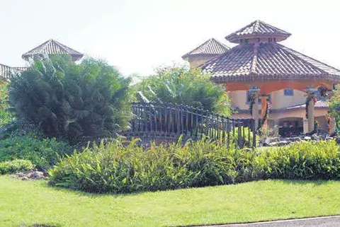 ¿Cómo cuidar el jardín en esta época de verano? 