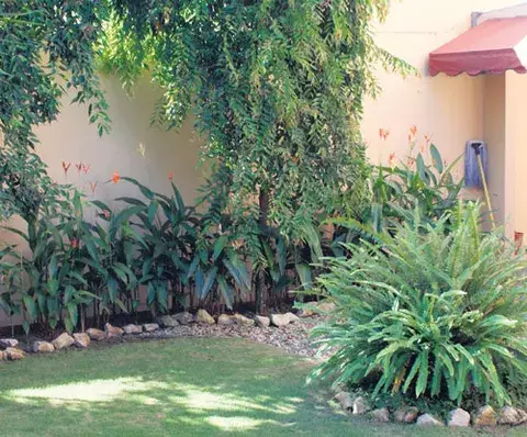 Flores y plantas, elija las adecuadas 