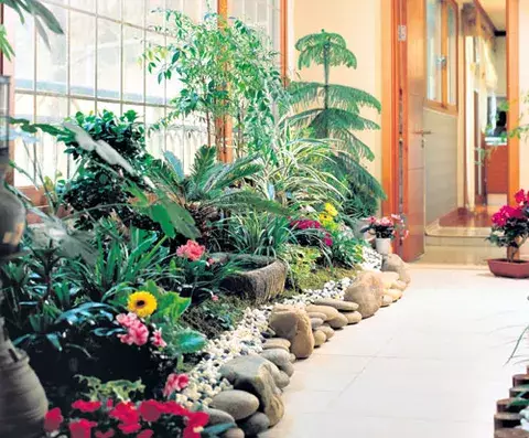 Para el jardín interior 