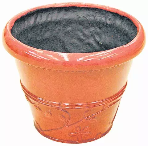 Complementos decorativos 