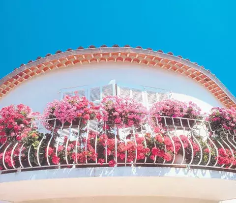 Lleve el color de la primavera a su balcón 
