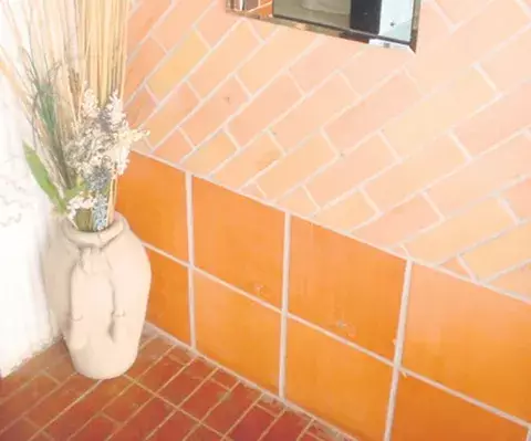 Estilo y color para sus fachadas, pisos y paredes 