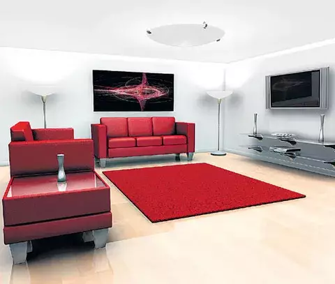 Decoración  de líneas puras 