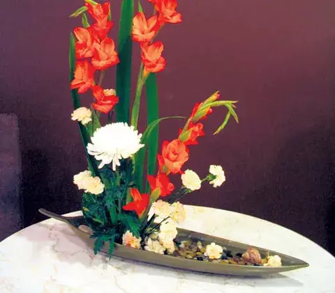 Decorar el interior con plantas 