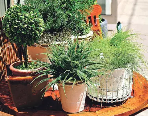 Herramientas básicas 