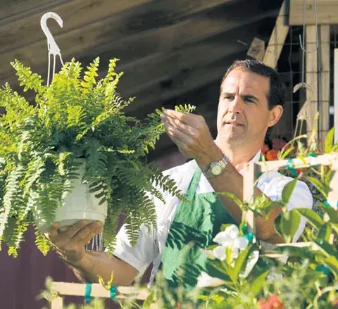 Ligera, romántica y muy ornamental 