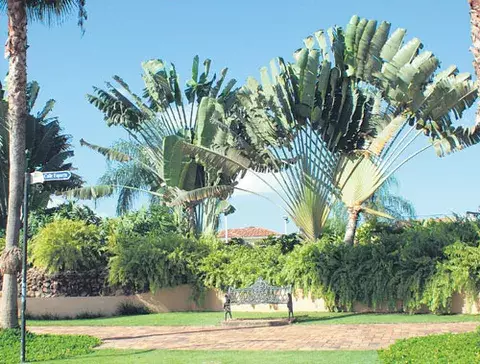 Las ventajas del césped artificial en su hogar 