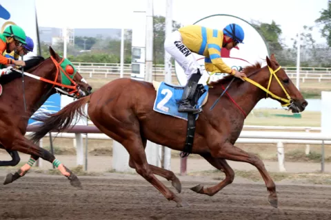 California Music y Fray Angélico, ambos entrenados por Alberto Paz Rodríguez, son las cartas a batir en el clásico Velocidad