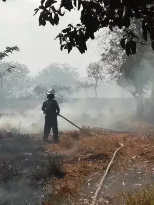 Trabajan arduamente para combatir  el incendio en la Emplanada de Chorcha