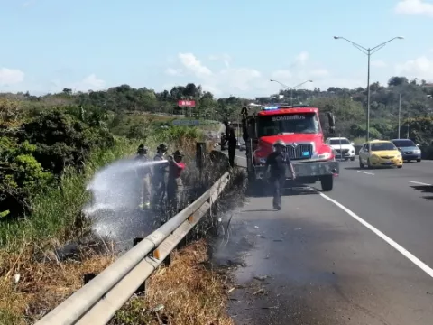 Más de 750 incendios forestales se han registrado en lo que va del año en el Oeste