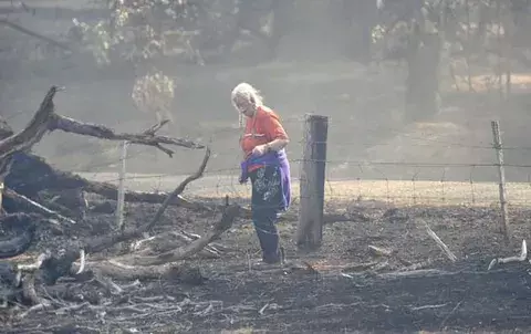 Incendios forestales en el sur de Australia queman al menos 34 viviendas