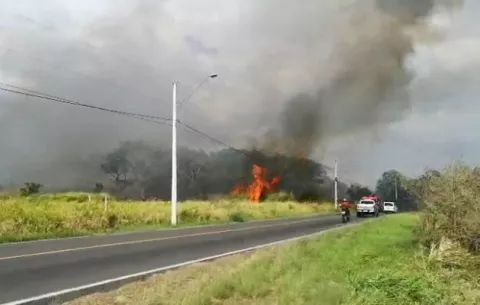 Bomberos acuden a sofocar fuego de masa vegetal en la carretera hacia Veracruz 