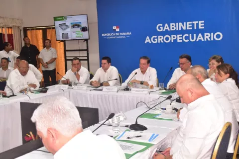 Productores le piden a Laurentino Cortizo hacer cambios contundentes para no afectar la producción nacional