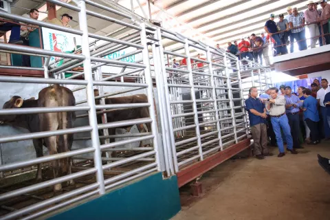 Gobierno apoya Programa Nacional para el Mejoramiento Genético