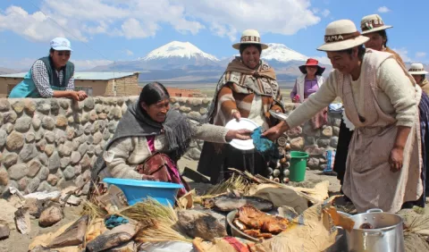 Gastronomía boliviana