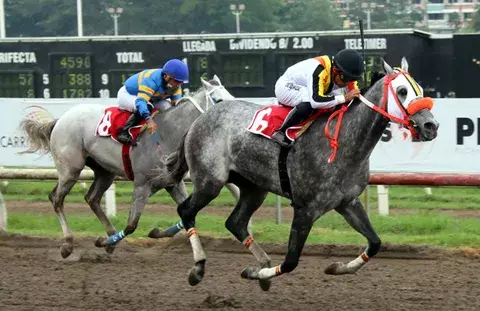 El Cuentista, Gatillo y Stedfast Heart enfrentan pruebas muy complicadas