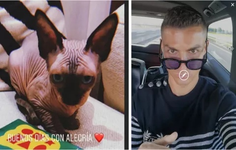 Cristiano Ronaldo  adquiere un gato de tres mil dólares