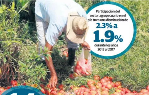 'Gobierno Nacional logró arruinar al productor'