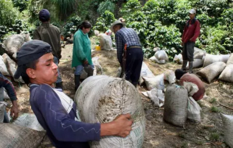 Buscan crear un  millón de plazas en Guatemala