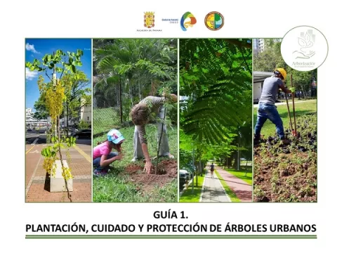 Municipio de Panamá lanza guías para el manejo de la vegetación en espacios públicos
