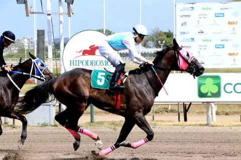 Helen Virginia cargará el peso máximo en un carrera clave para la jugada del 5 y 6