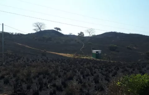 Más de 700 hectáreas consumidas por incendio forestal en Herrera
