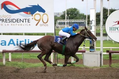 Tres acumulados desde la partida en la jornada hípica de hoy