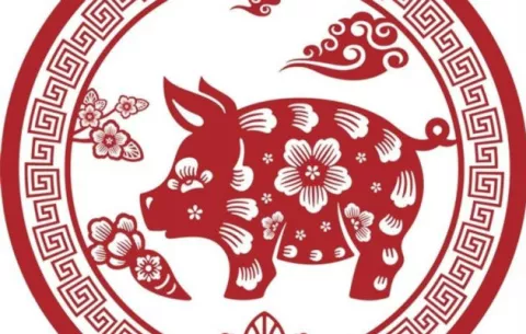 Comunidad china celebra el Año del cerdo