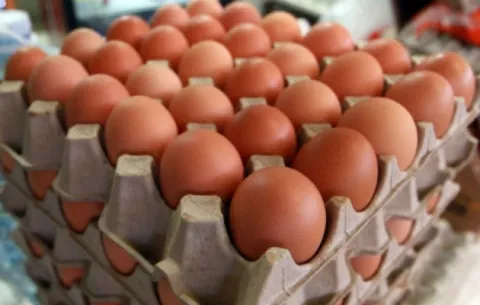 Huevos, macarrones, chuleta, jarrete, pecho, poroto, lentejas y atún salen del Control de precios