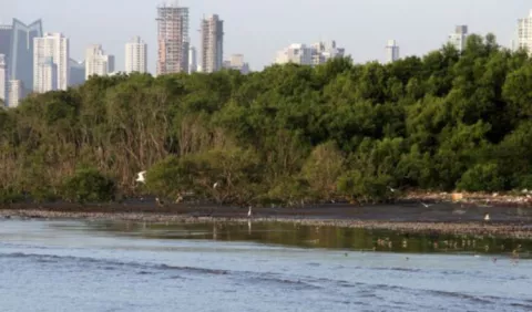 Retoman proceso para conservación de humedales