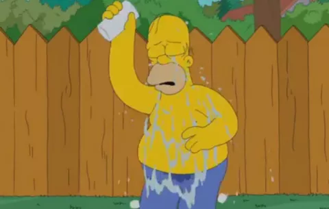 Homero Simpson también hizo el "Ice Bucket Challenge"