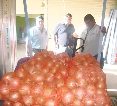 Exportación de cebollas hacia Puerto Rico genera conflictos 