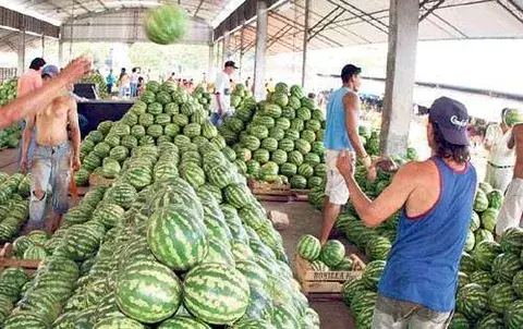 Empresarios  buscan negocios en Costa Rica  