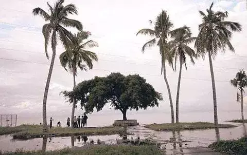 Desastre por lluvias afecta turismo y reduce  las cosecha agrícolas 