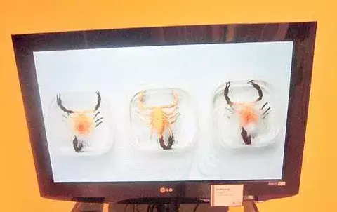 ¿Hay o no  críticos de arte en nuestro país? 