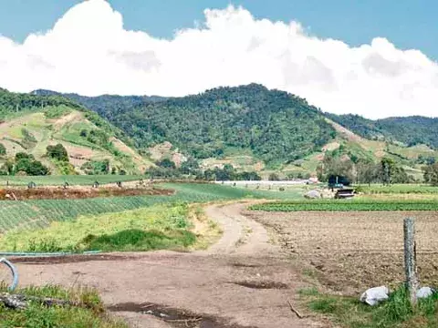 Productores: persiste crisis en sector agropecuario 