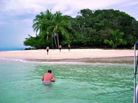 Lluvia de billetes sorprende a bañistas en playa de Colombia