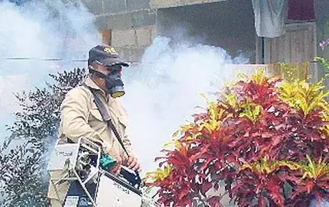 Sigue eliminación de criaderos del Aedes 
