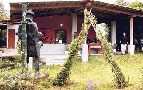Comida orgánica y espontánea 