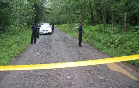 Mulino: 66 mil incidentes delictivos se dieron durante 2011