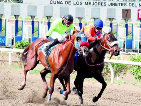 Coqueto del Ocho 