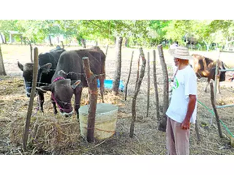 La península de Azuero es la región más vulnerable 